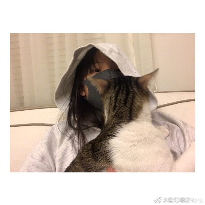 实习崴:欧阳娜娜大战过敏 全副武装陪猫玩