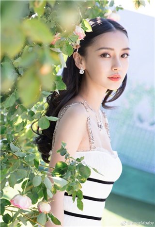 Angelababy追剧太入戏 “哭喊”黄晓明不要下线
