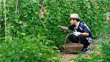 李玉刚下地摘菜形象大反转