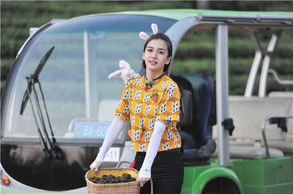 Angelababy变身铲屎官 搭档郑恺捡马粪