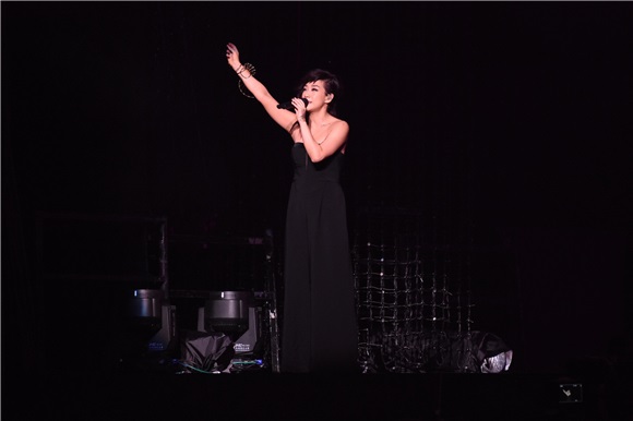 林忆莲巡回演唱会