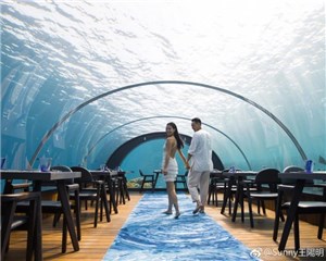 王阳明帮老婆蔡诗芸庆生 海底餐厅的惊喜太浪漫