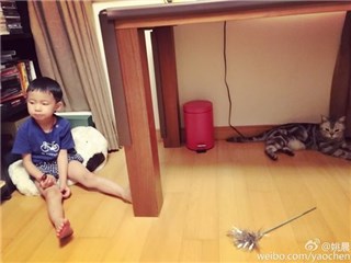 图片说明