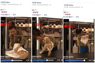 Selina急做干妈秀包毯技术 小狗Pinky惨成实验品