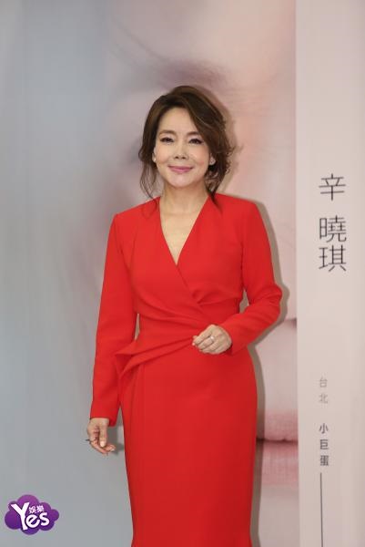 辛晓琪台北小巨蛋演唱会发布会