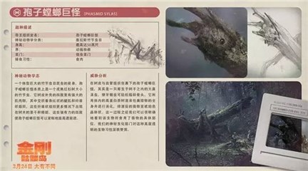 图片说明