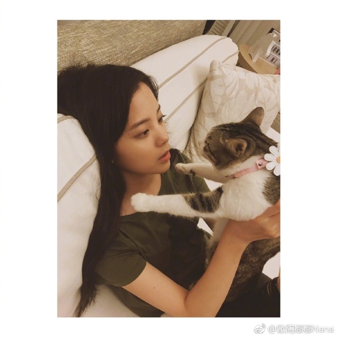 实习崴:欧阳娜娜大战过敏 全副武装陪猫玩