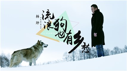 杨坤《流浪狗也有乡愁》MV首发 拍摄太拼险摔脑震荡
