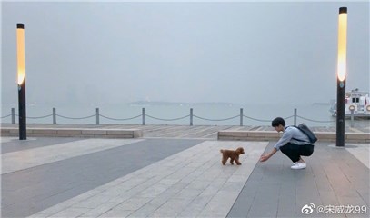 (图片引用来源网路)