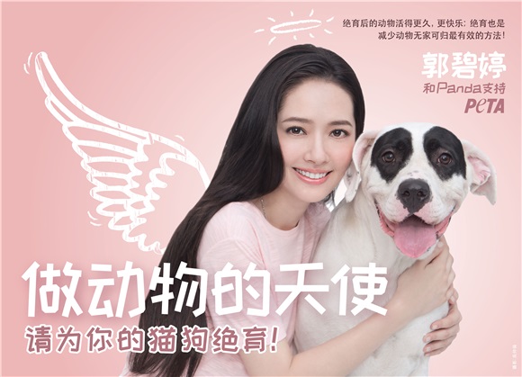 郭碧婷化身动物天使 携爱犬预祝土狗年快乐