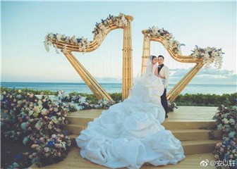 安以轩纪念结婚一周年 甜蜜晒牵手照自问：陈太习惯了吗