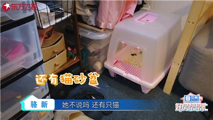 陈培顼在4平米的小屋内还要摆放猫砂盆