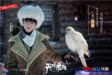 王俊凯与鹰