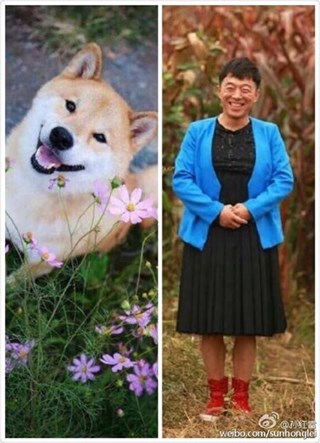 图片说明