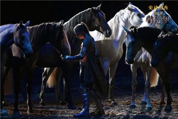 史诗马秀《特洛伊》无缰驯马精彩表演