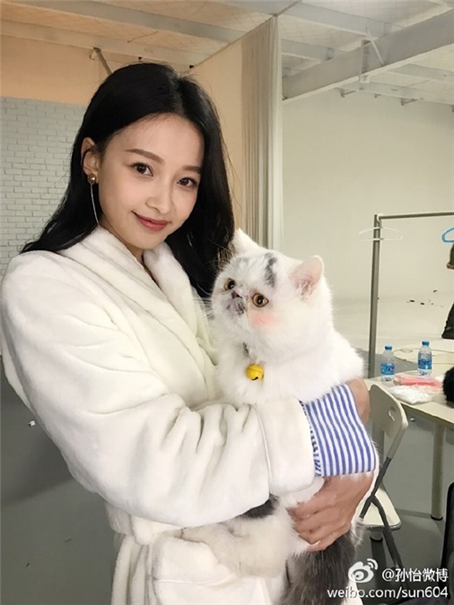 舒淇范冰冰赵丽颖孙怡 这些爱宠物如命的女明星们