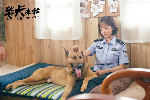 杨蓉《警犬来啦》变身麻辣警花 首合作警犬呆萌上线