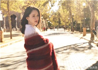 陈乔恩享受阳光微风带来的美好 温暖甜笑简直要被融化