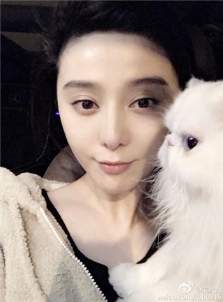 李晨年三十接范冰冰回家 网友：司机糊了