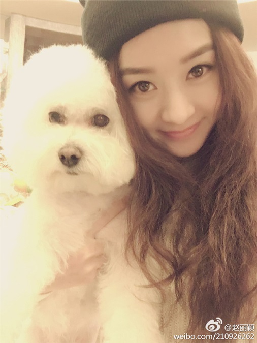 舒淇范冰冰赵丽颖孙怡 这些爱宠物如命的女明星们