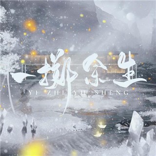 流浪的蛙蛙《一掷余生》