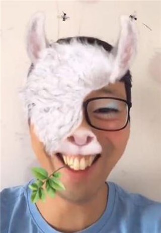 图片说明