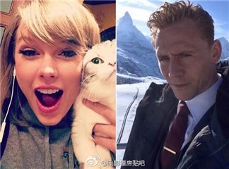 图片说明