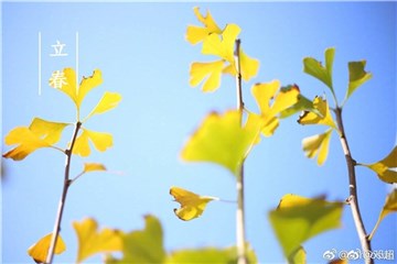 邓超“高仿”孙俪庆祝立春 泡脚变泡手引粉丝吐槽