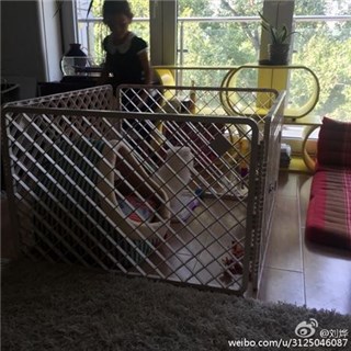 刘烨晒汪星新成员 社长地位不保：我被冷落了
