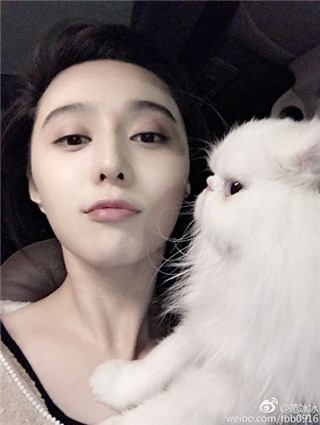 图片说明