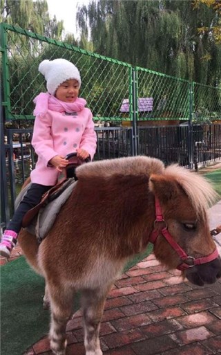贾乃亮发女儿骑动物照 网友焦点却放在它身上
