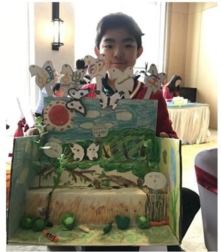 “蝴蝶的一生”创新优秀作品