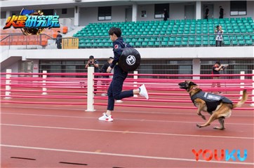图:汪苏泷首轮展示被狗穷追不舍直至扑倒