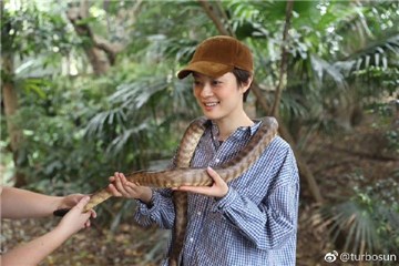 孙俪晒「人蛇合影」笑开怀 傻问:只有我觉得牠很可爱吗?