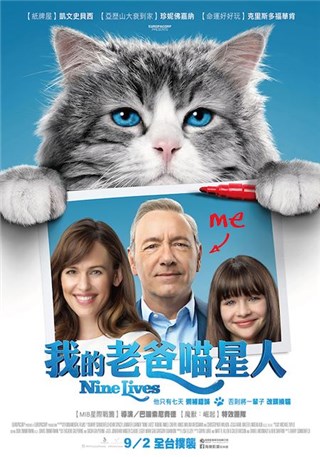 图片说明