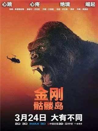 图片说明