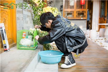 大张伟用心照顾小兔兔