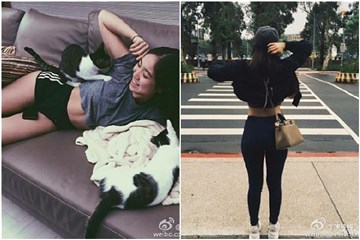 图片说明