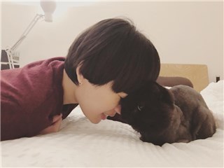娃娃感性告白 粉丝也照样造句倾诉爱意